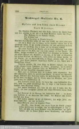 Pechvogel-Gallerie Nr. 6 - Episode aus dem Leben eines Grooms