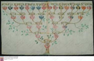 Ahnenprobe des Johann Adolph Rau v. Holzhausen. - ausgefertigt 1693 Dezember 1, Pergament
