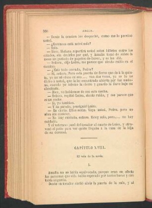 Capítulo XVIII. - El velo de la novia.