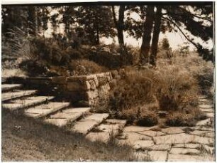 Garten von Bauer, Rhode: Treppe