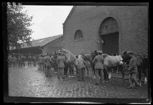 Douai (Dep. Nord, Frankreich): Pferdeburschen und Pferde vor dem Tor eines hohen Backsteingebäudes (Rückansicht)