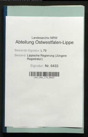 Bildung eines Zweigvereins zur Pflege verwundeter und erkrankter Soldaten in Lippe (Allgemeines)