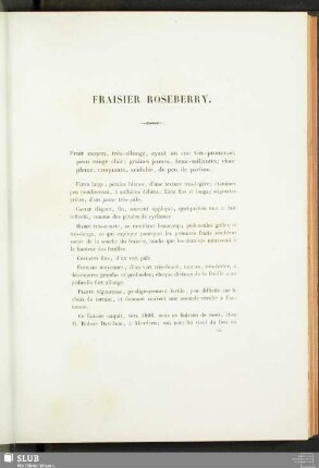 Fraisier Roseberry
