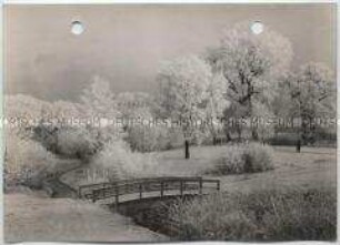 Winterlandschaft, Rauhreif
