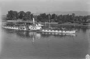Personen-Seitenraddampfer "Meissen (1885, Werft Blasewitz) vor der Wesenitz-Mündung bei Pratzschwitz