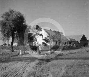 Gehöft in Polen