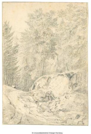 Waldlandschaft mit Fahrweg