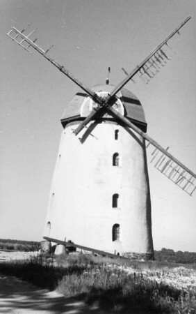 Falkenhain-Voigtshain. Turmholländer