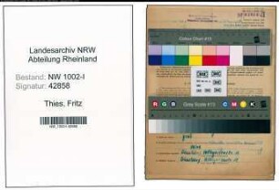 Entnazifizierung Fritz Thies, geb. 04.11.1897 (Kaufm.Angest.)