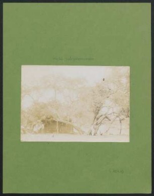 [Hütte mit Innerem] : Fotoliste Max Uhle Nr. 1041