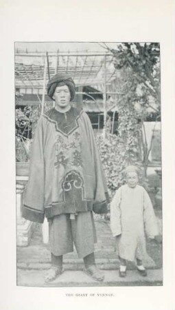 The giant of Yunnan