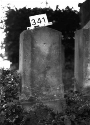 Grabstein 341 (Index: 100084919) Maße HxBxT: 82x35x24 cm Beschreibung: Stele, Sockel, giebelartiger Abschluß: Grabstein 341