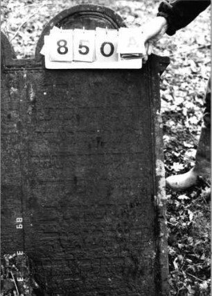 Grabstein 850 (Index: 99751256) Material: Sandstein Zustand: verwittert Maße HxBxT: 117x87x11 cm Beschreibung: Doppelstele, Schriftfelder eingetieft: Grabstein 850A