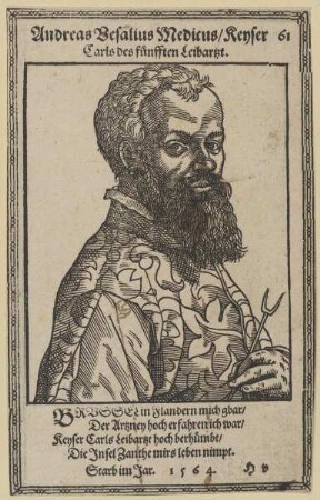 Bildnis des Andreas Vesalius