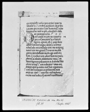 Psalterium cum Canticis — Initiale D, Folio 91recto