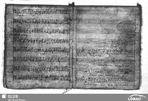 Anonymus: Audite insulae