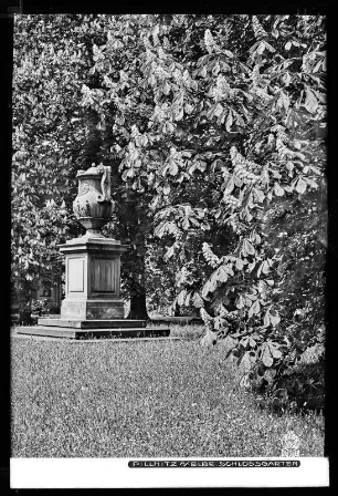 Dresden, Schlossgarten Pillnitz