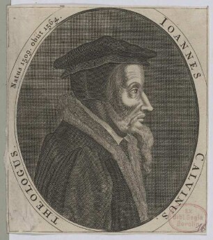 Bildnis des Ioannes Calvinus