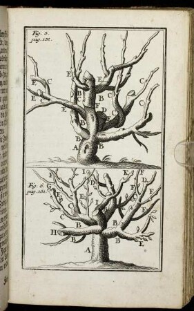 Fig. 5. pag. 151. - Fig. 6. pag. 151.