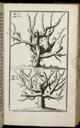 Fig. 5. pag. 151. - Fig. 6. pag. 151.