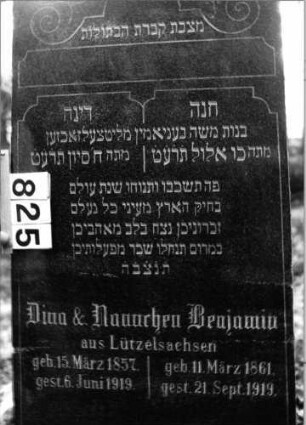 Grabstein 825 (Index: 99802375) Material: Granit, poliert Zustand: sehr gut Maße HxBxT: 156x61x18 cm Beschreibung: Sockel, obeliskenartige Stele Symbolik: Palmwedel, Inschriftenfeld in Form stilisierter Gesetzestafeln Besonderheit: Endreim: Grabstein 825 (Detailaufnahme)