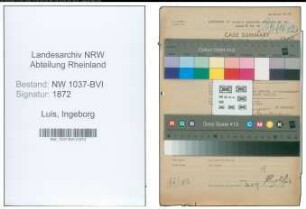 Entnazifizierung Ingeborg Luis , geb. 02.12.1914 (Lehrerin)