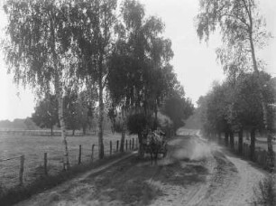 Pferdekutsche auf einem Feldweg