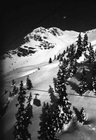 Oberstdorf: Nebelhorn; Tannen, Schatten der Kabine und Berge