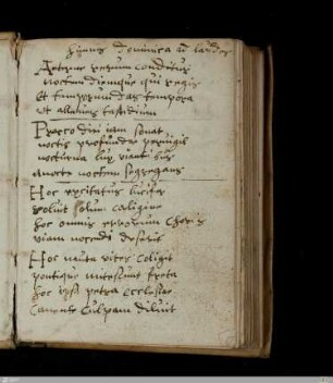 [Handschriftliches Fragment mit lateinischer Lyrik]
