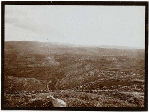bettir n. chirbel eljehud v. NW [Wadi Bettiir]