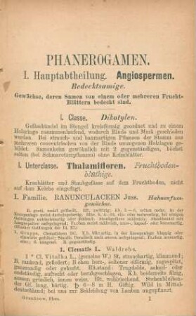 Phanerogamen