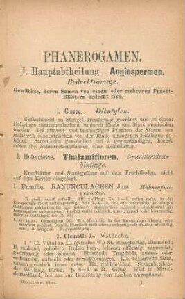 Phanerogamen