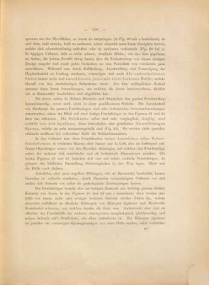 Botanische Untersuchungen über Schimmelpilze, 10