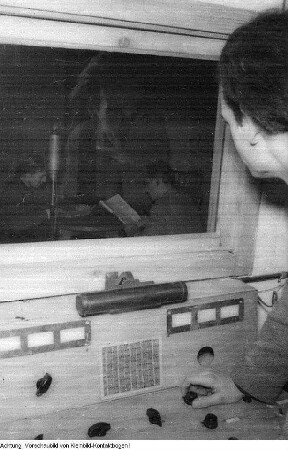 "Jugendleben". Dresden, Studio im Jugendklubhaus "Rudi Arndt", Januar 1956