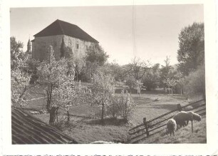 Horn Blick auf die Burg