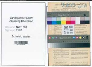 Entnazifizierung Walter Schmidt, geb. 09.12.1890 (Bankbeamter)