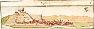 Vaihingen/Enz LB