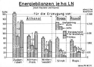 Energiebilanz je ha LN (nach Heylands und Kochs)