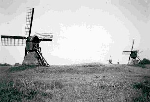 Schöpfmühlen in Wilster Marsch am 07.07.1912.