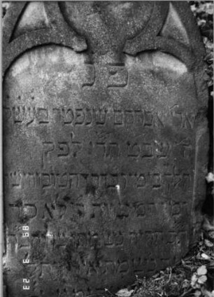 Grabstein 308 (Index: 99791692) Material: Sandstein Zustand: gut Maße HxBxT: 84x48x11 cm Beschreibung: Stele, Spitzbogenabschluß, Schriftfeld eingetieft Symbolik: Maßwerk, Blüte: Grabstein 308 (Detailaufnahme)