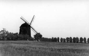 Thallwitz-Canitz. Blick zum Turmholländer