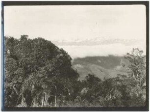 Blick über das Nebelmeer der Yungas auf die Cordillera Quimsa Cruz