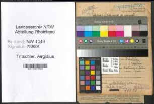 Entnazifizierung Aegidius Tritschler , geb. 01.09.1879 (Landwirt)
