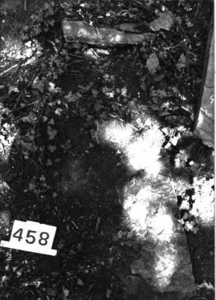 Grabstein 458 (Index: 99897132) Zustand: liegend, zerbrochen, stark verwittert: Grabstein 458