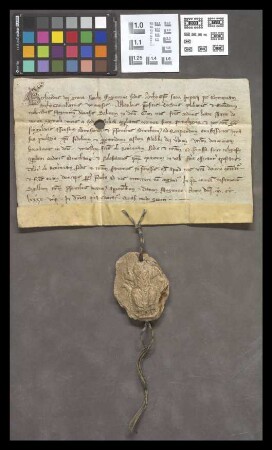 Mainz (Karmeliter): Gerhardus arch. Mog. fratres de monte carmeli sicut religiosos approbati ordini .... admittendos notum fact.