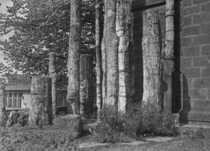 Chemnitz. Versteinerte Bäume vor dem Naturkundemuseum