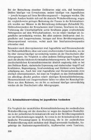 5.3 Kriminalitätsentwicklung bei jugendlichen Ausländern