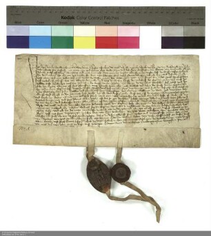 Apel von Buchenau verzichtet zu Gunsten des Dechanten und des Konvents von Johannesberg auf seine Ansprüche an einem Hof in Großentaft