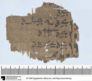 Demotischer Papyrus, Schreibübung. Alter Text mit Bezug auf Chnum-Priester von Elephantine.