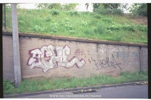 ACHE